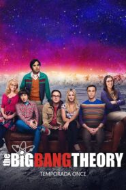 Big Bang: Temporada 11